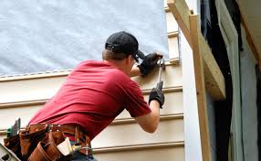 Best Historical Building Siding Restoration  in Pea Ridge, AR